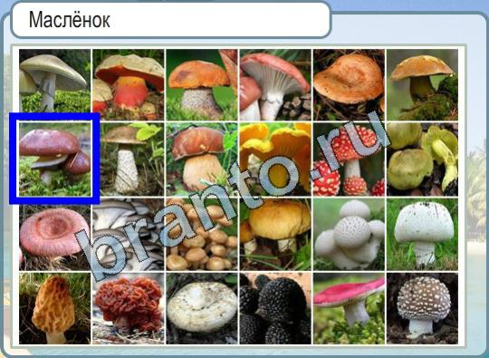 Игра Горячо-Холодно ответы Уровень 897