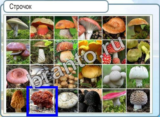 Игра Горячо-Холодно подсказки Уровень 928