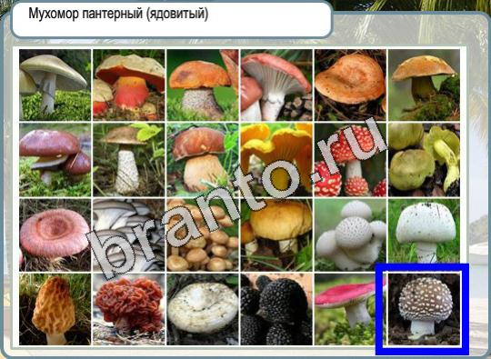 Горячо-Холодно игра помощь Уровень 955 мяч для гольфа