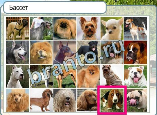 ответы на игру в одноклассниках Горячо-Холодно Уровень 1026 для раскладки тортов