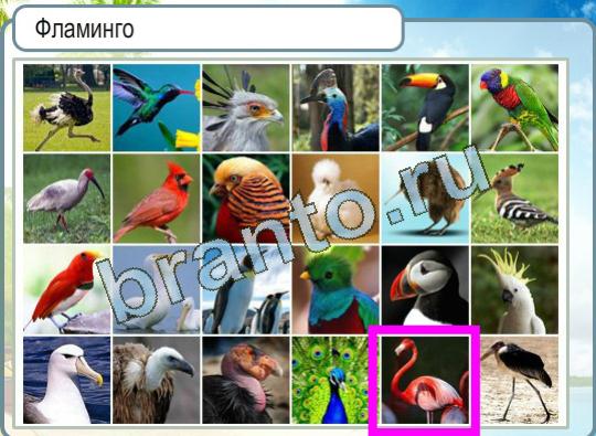 ответы на игру Горячо-Холодно Уровень 1081