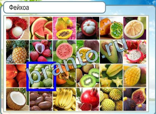 Подсказки Горячо-Холодно Уровень 1082 Фейхоа