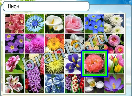 Помощь на игру Горячо-Холодно Уровень 1084