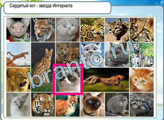 Горячо-Холодно игра ответы в одноклассниках Уровень 1087