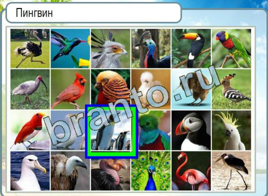 Горячо-Холодно игра ответы Уровень 1093 высота потолков в сталинских домах