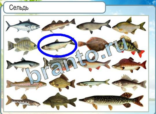 Игра Горячо-Холодно ответы Уровень 1097 наречие