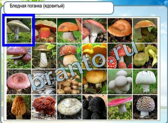 Горячо-Холодно ответы в картинках Уровень 1106 хурма