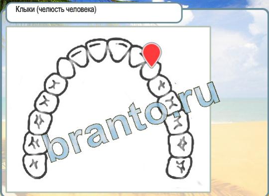ответы на игру Горячо-Холодно Уровень 1111 клыки