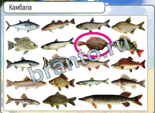 Горячо-Холодно ответы в картинках Уровень 1126