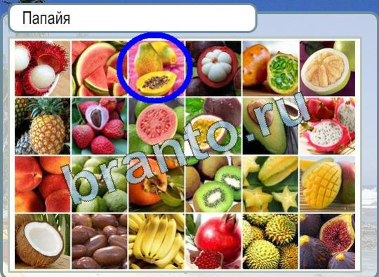 Горячо-Холодно игра помощь Уровень 1165 папайя