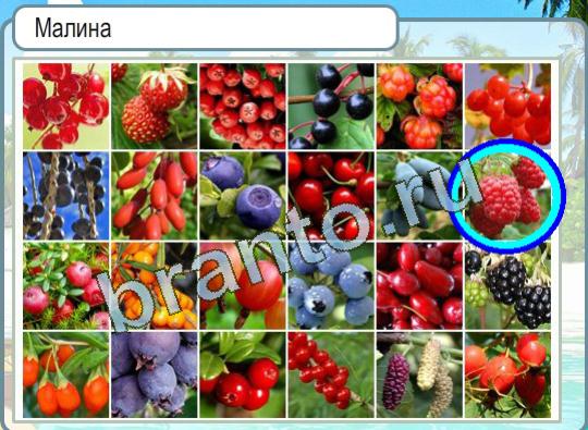 Подсказки Горячо-Холодно Уровень 1322 малина