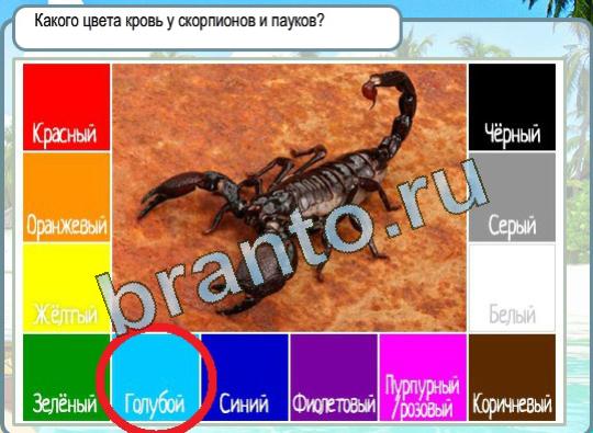 Решения на игру Горячо-Холодно Уровень 1323