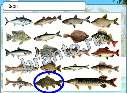 Игра Горячо-Холодно подсказки Уровень 1338 рыба карп