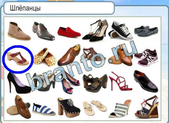 ответы к игре Горячо-Холодно Уровень 1355 Шлёпанцы