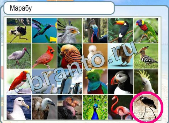 Горячо-Холодно игра ответы в одноклассниках Уровень 1357 Марабу