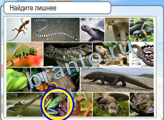 Горячо-Холодно решения Уровень 1362