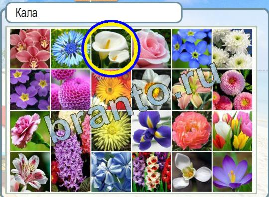 решебник на игру Горячо-Холодно Уровень 1371 кала