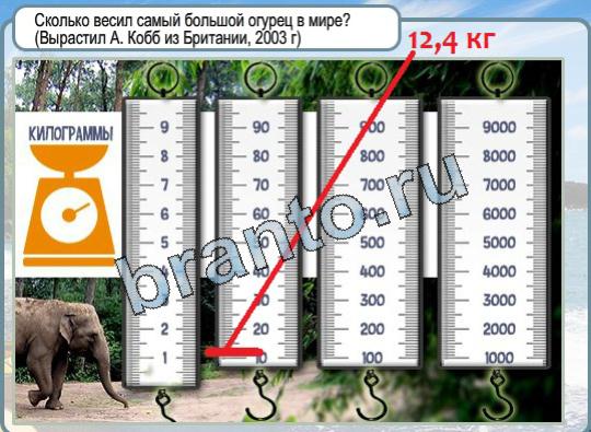 Горячо-Холодно игра ответы Уровень 1463 самый большой огурец