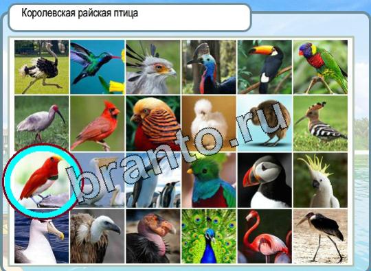 Решения на игру Горячо-Холодно Уровень 1473 Королевская райская птица