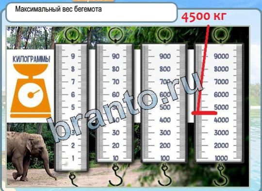 Горячо-Холодно решения Уровень 1492 максимальный вес бегемота