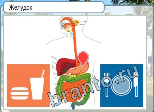 Игра Горячо-Холодно ответы Уровень 1517 Желудок