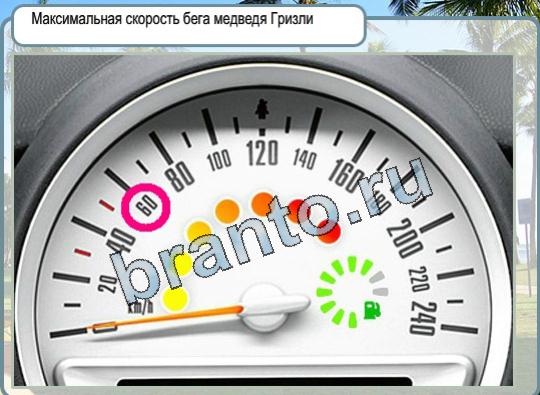 Игра Горячо-Холодно подсказки Уровень 1518 флаг Ирландии