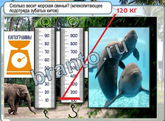 Горячо-Холодно игра ответы Уровень 1523