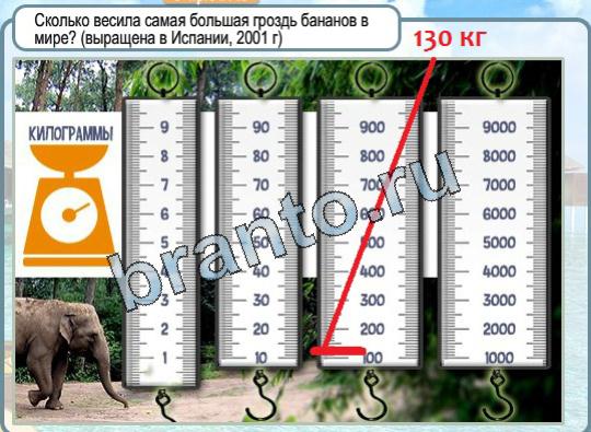 Горячо-Холодно решения Уровень 1552 овощ столица Бельгии