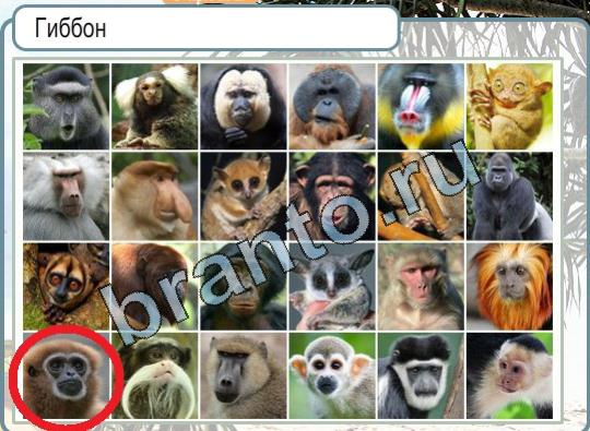 Игра Горячо-Холодно ответы Уровень 1607 наречие
