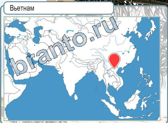 Игра Горячо-Холодно подсказки Уровень 1608 флаг Ирландии