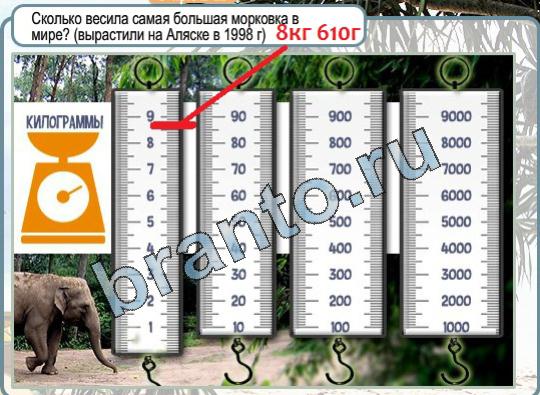 Горячо-Холодно решения Уровень 1612 овощ столица Бельгии