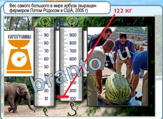 Горячо-Холодно решения Уровень 1732 вес самого большого арбуза