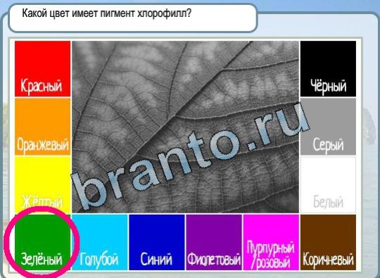 Горячо-Холодно игра помощь Уровень 1755 пигмент хлорофилл цвет