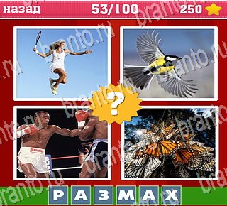 Где логика на телефоне подсказки Уровень 53