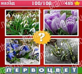 игра Где логика? Часть 1 все отгадки на телефоне уровень 100