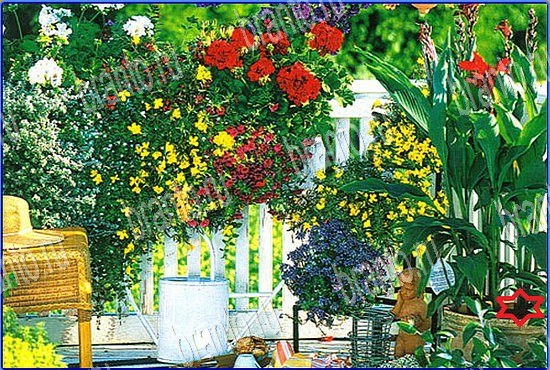 помощь на игру Найди кота Уровень 2524