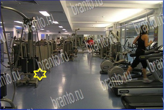 відповіді до гри Найди кота Уровень 2526