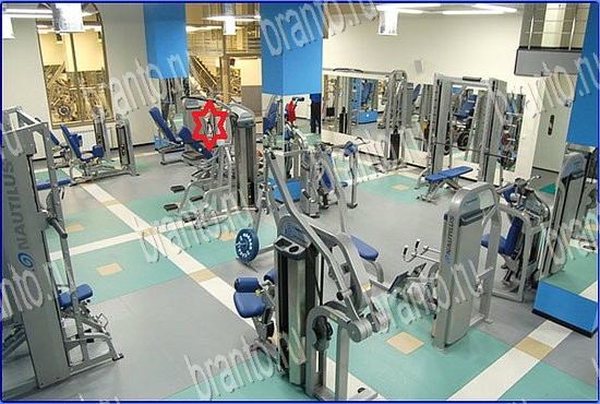 Найди кота игра ответы Уровень 2530