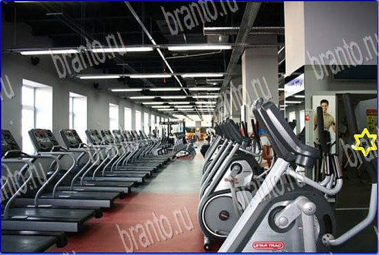 Найди кота игра в Одноклассниках ответы Уровень 2531