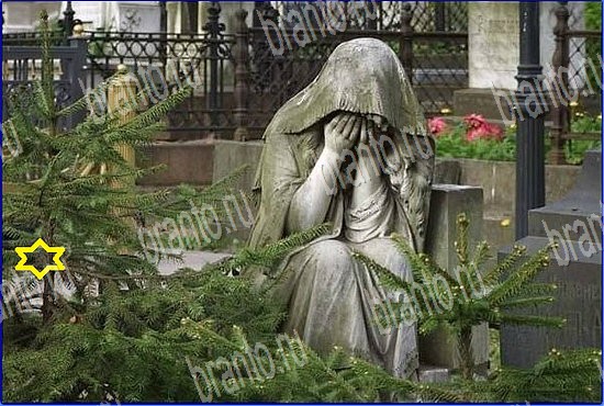 ответы на игру Найди кота Уровень 2532