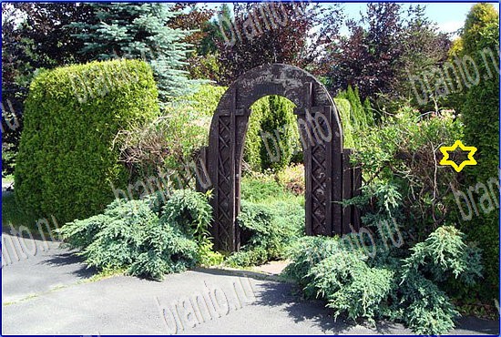 ответы на игру Найди кота Уровень 2534