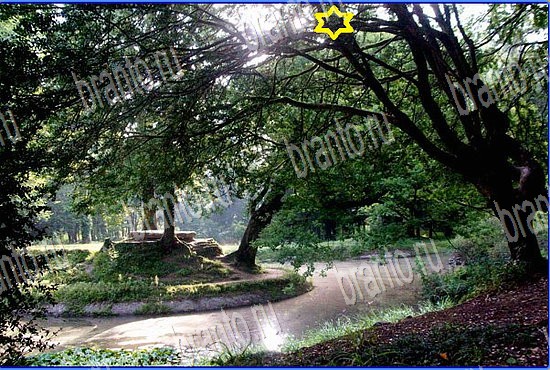 ответы на игру Найди кота Уровень 2536