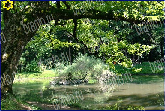 ответы на игру Найди кота Уровень 2537