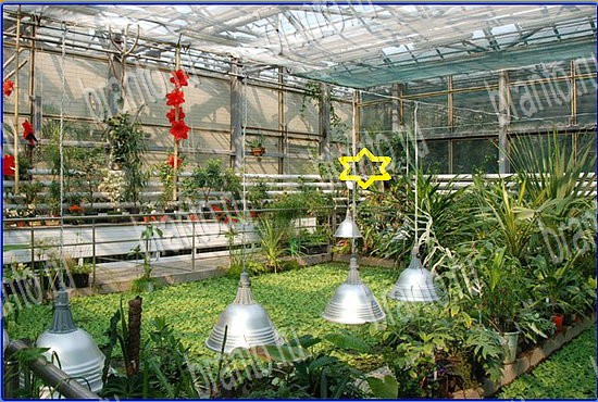 ответы на игру Найди кота Уровень 2538