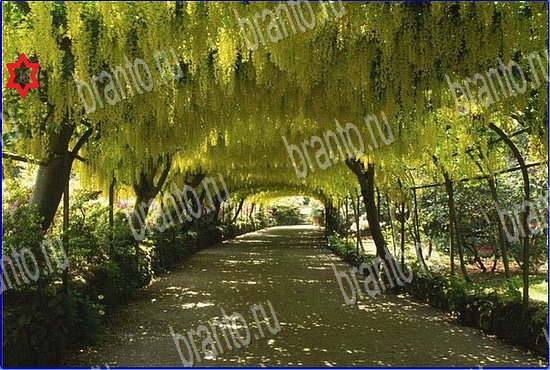 подсказки на игру Найди кота Уровень 2540