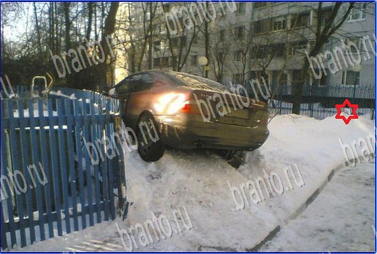 игра Найди кота ответы на все уровни