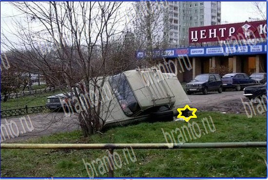 ответы на игру Найди кота Уровень 2542