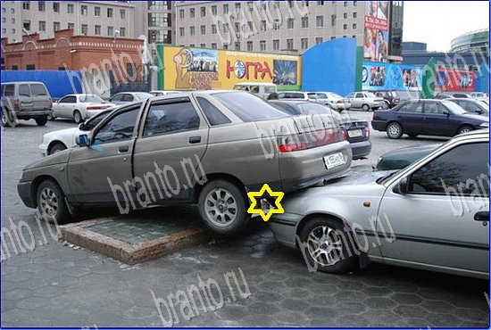 ответы на игру Найди кота Уровень 2544