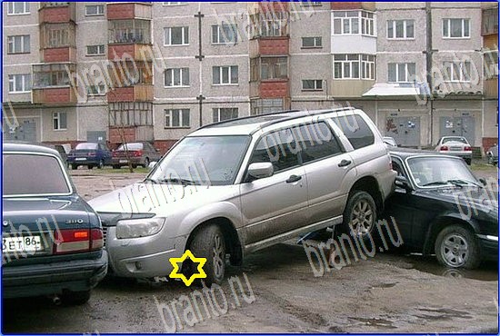 ответы на игру Найди кота Уровень 2545