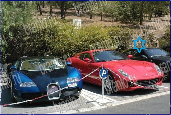 фото-ответы на игру Найди кота Уровень 2549